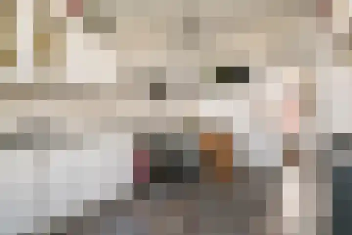 Achterstraat 24 Varik thumbnail 41
