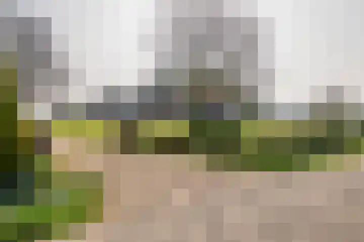 Achterstraat 24 Varik thumbnail 5