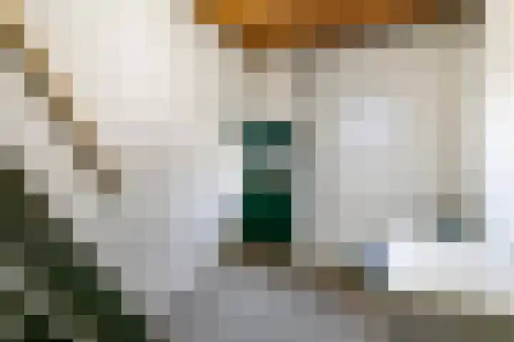 Achterstraat 24 Varik thumbnail 50