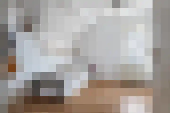 Achterstraat 24 Varik thumbnail 52