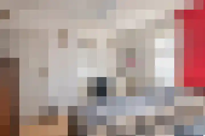 Achterstraat 24 Varik thumbnail 59