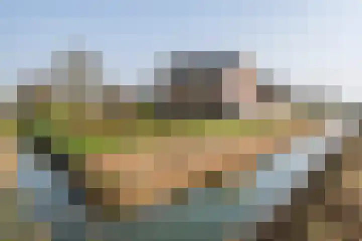Achterstraat 24 Varik thumbnail 6