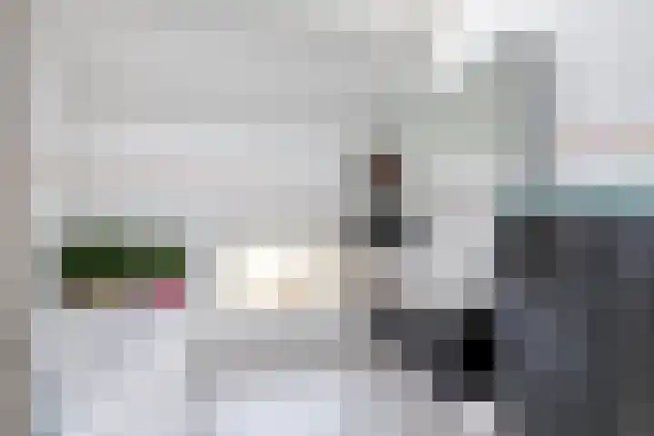 Achterstraat 24 Varik thumbnail 62