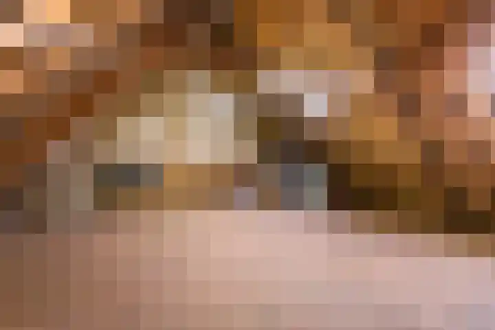 Achterstraat 24 Varik thumbnail 69