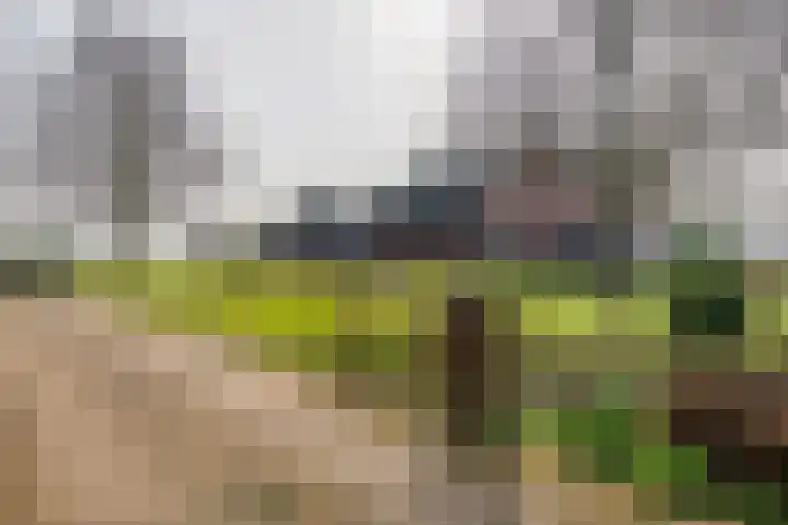 Achterstraat 24 Varik thumbnail 7