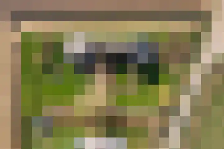 Achterstraat 24 Varik thumbnail 73