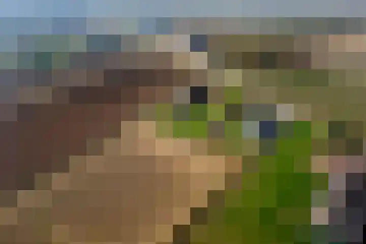Achterstraat 24 Varik thumbnail 74