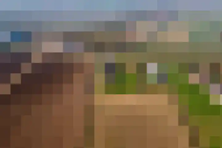 Achterstraat 24 Varik thumbnail 75
