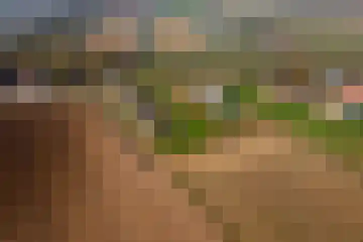 Achterstraat 24 Varik thumbnail 76