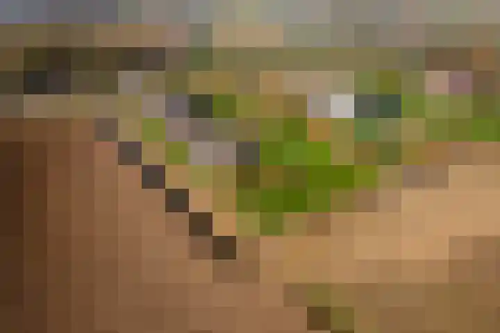 Achterstraat 24 Varik thumbnail 77
