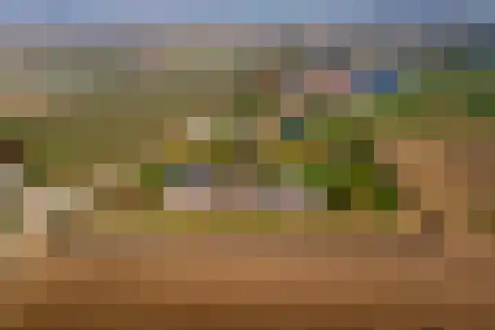 Achterstraat 24 Varik thumbnail 78