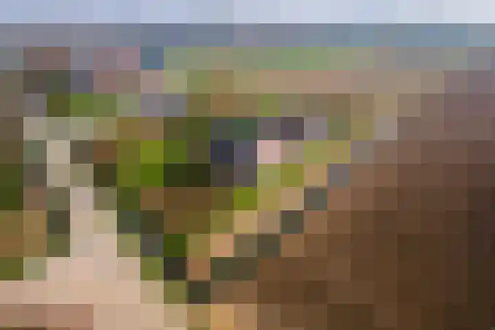 Achterstraat 24 Varik thumbnail 80