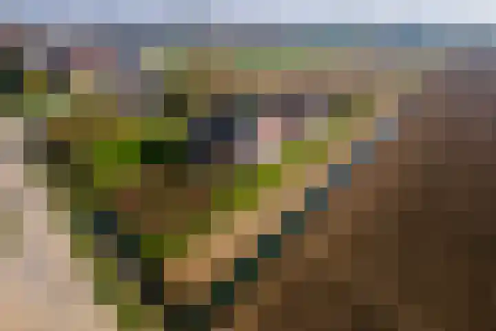 Achterstraat 24 Varik thumbnail 81