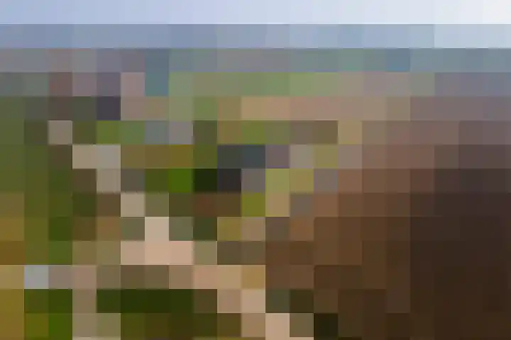 Achterstraat 24 Varik thumbnail 82