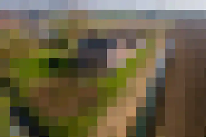 Achterstraat 24 Varik thumbnail 84