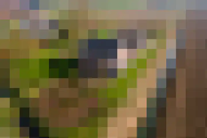 Achterstraat 24 Varik thumbnail 86