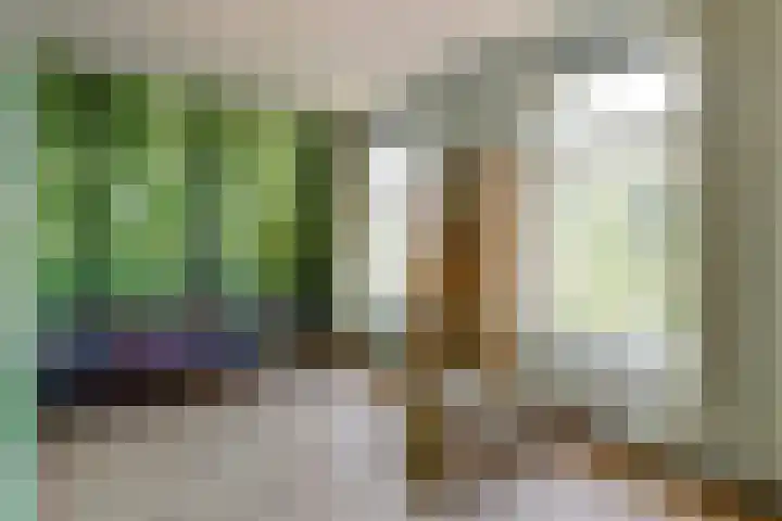 Achterstraat 29 Asperen thumbnail 26