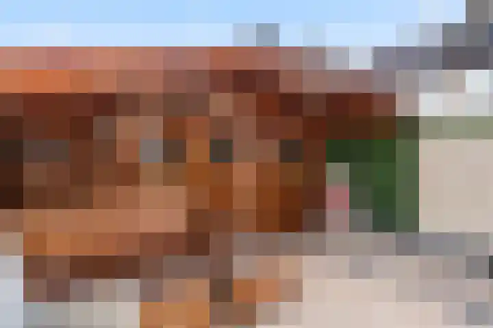 Achterstraat 30 Bennekom thumbnail 42