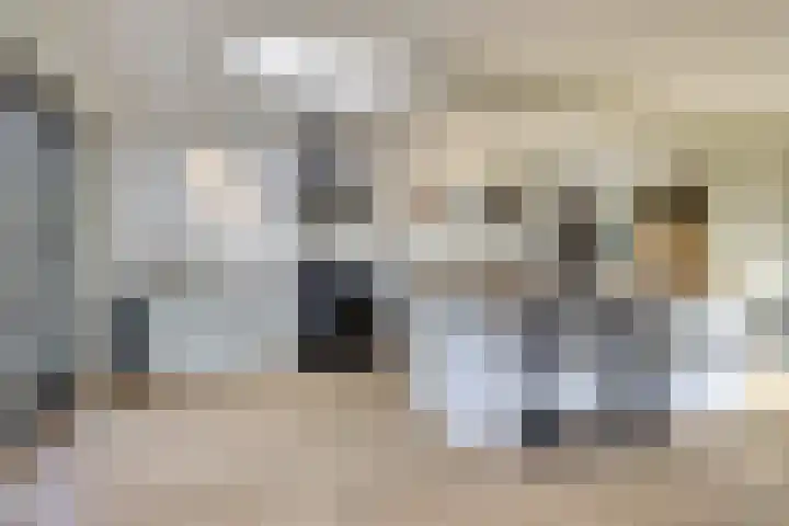 Achterstraat 6 a Putte thumbnail 10