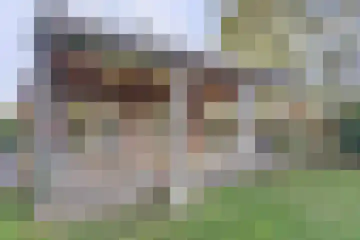 Achterstraat 6 a Putte thumbnail 27