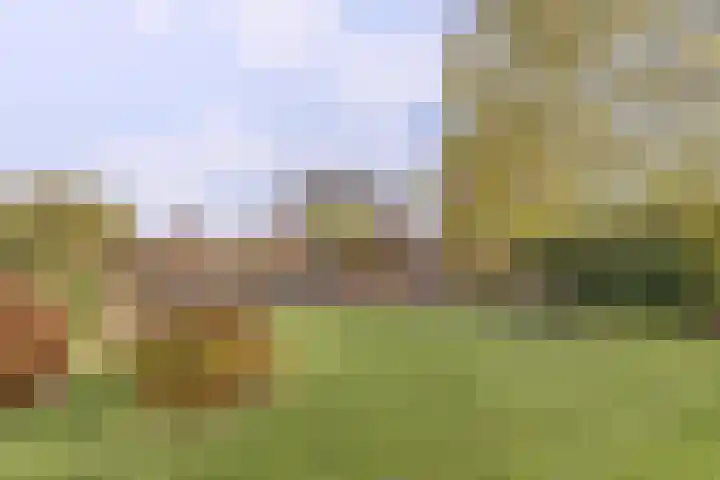 Achterstraat 6 a Putte thumbnail 32