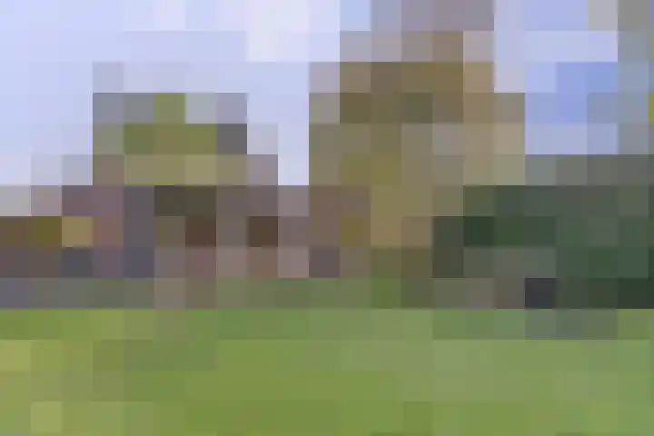 Achterstraat 6 a Putte thumbnail 33