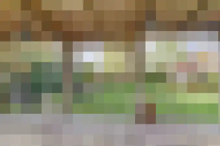 Achterstraat 6 a Putte thumbnail 35