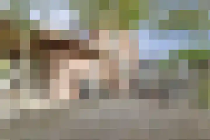 Achterstraat 6 a Putte thumbnail 36