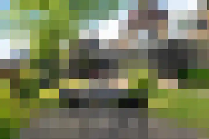 Achterstraat 8 a Diever thumbnail 35