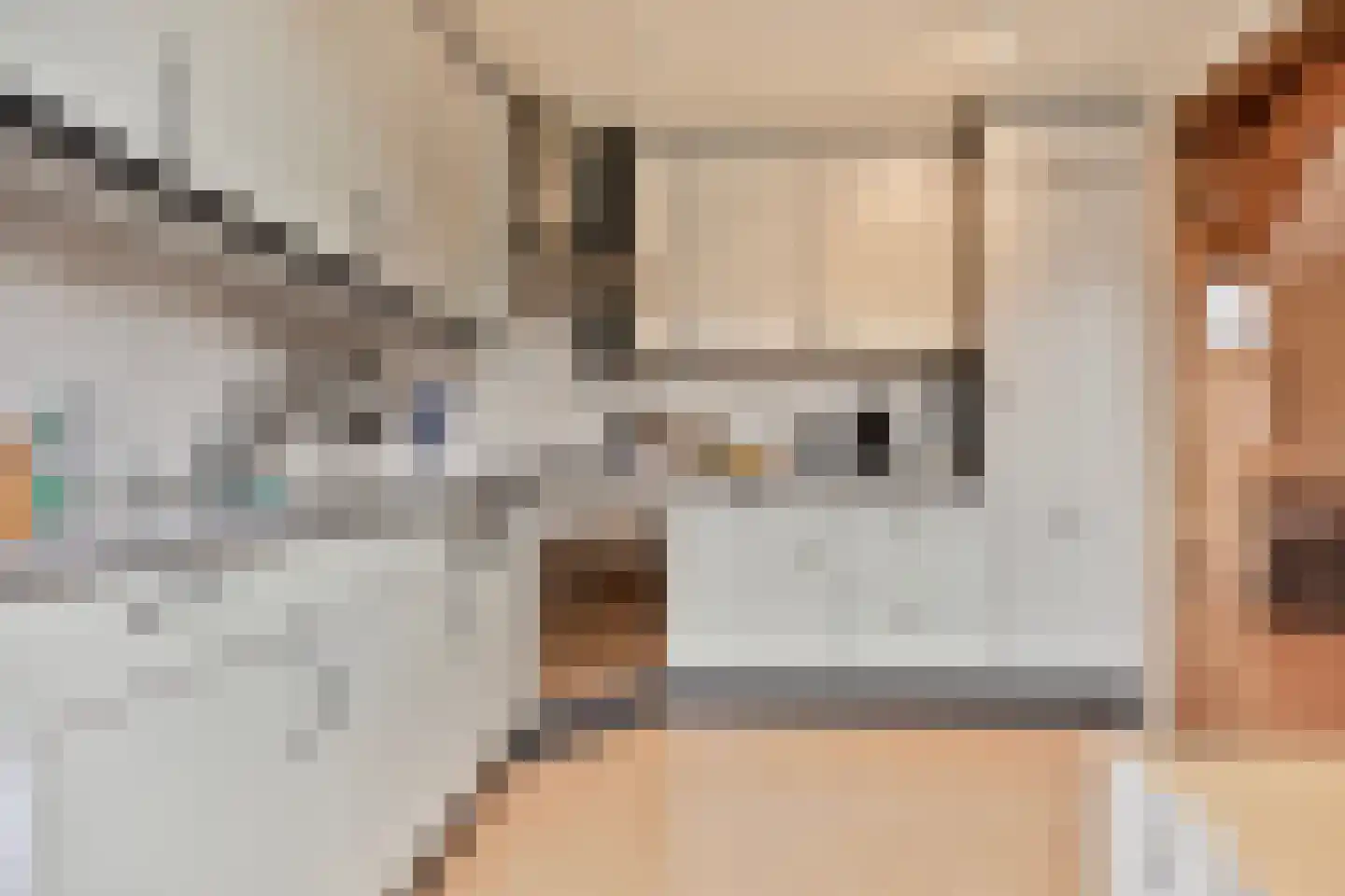 Achterstraat 8 a Diever thumbnail 46