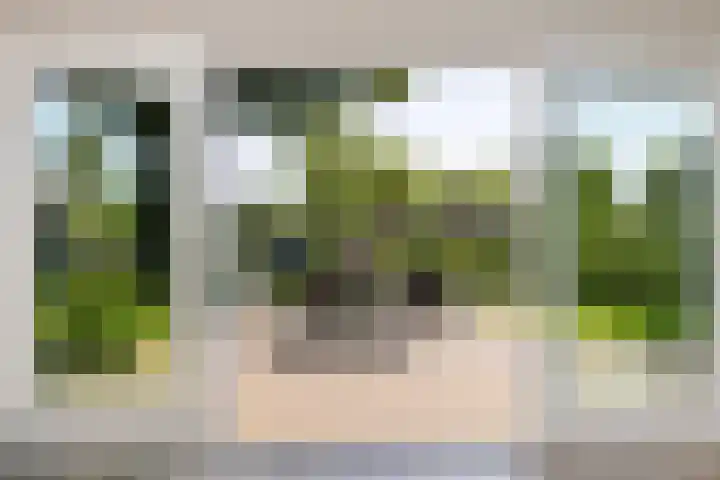 Achterstraat 8 a Diever thumbnail 7