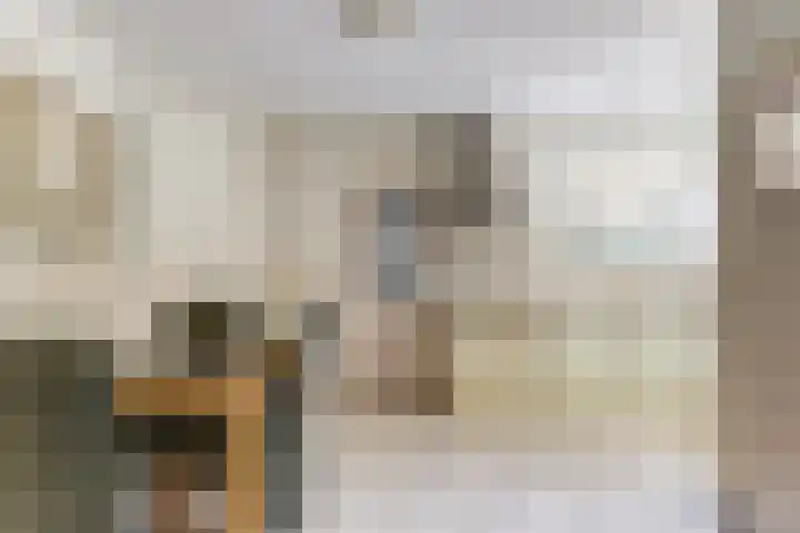 Achterstraat 9 Asperen thumbnail 13