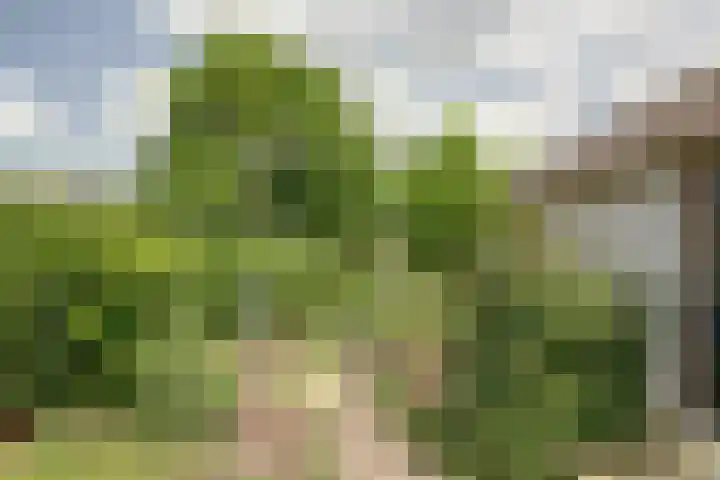 Achterstraat 9 Asperen thumbnail 36