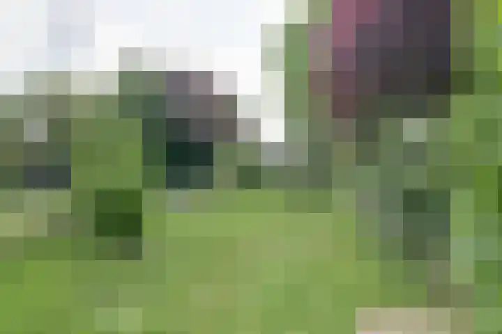 Achterstraat 9 Asperen thumbnail 37