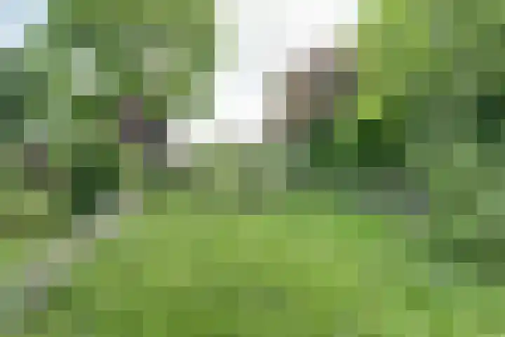 Achterstraat 9 Asperen thumbnail 4