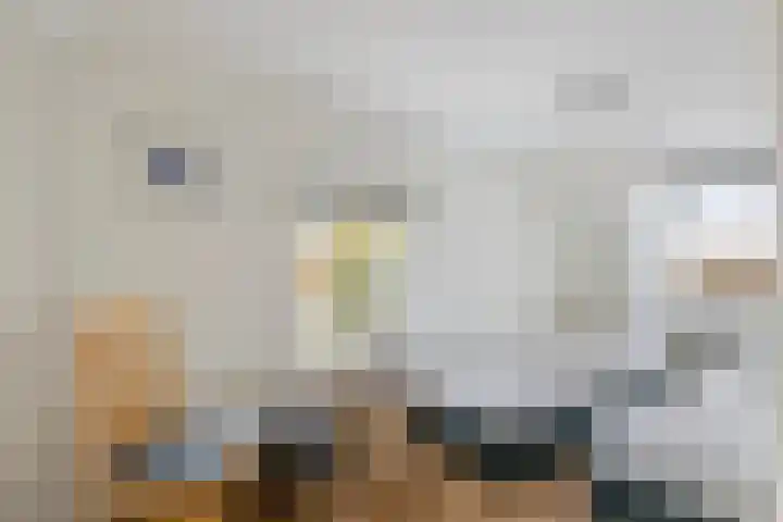 Achterstraat 96 Asperen thumbnail 17