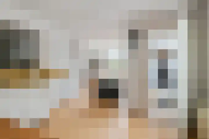 Achterstraat 96 Asperen thumbnail 5