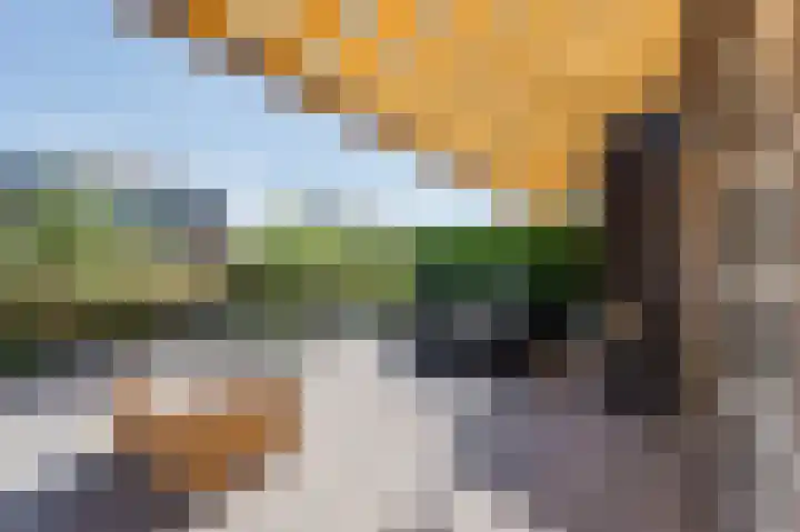Achterveld 12 Vinkeveen thumbnail 22