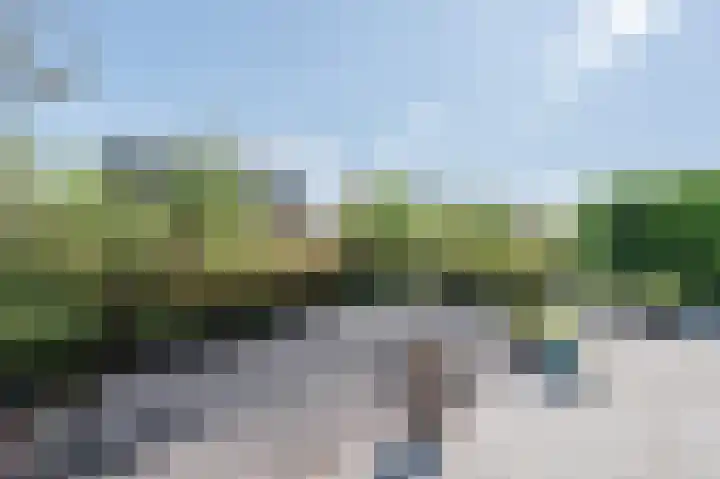 Achterveld 12 Vinkeveen thumbnail 5
