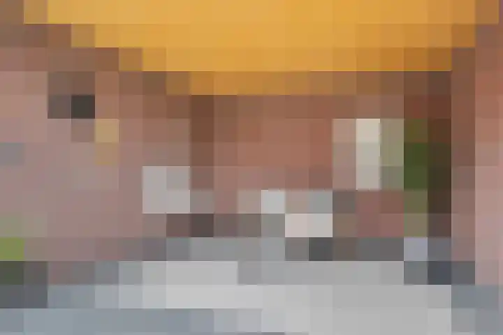 Achterweg 1 Berlicum thumbnail 30