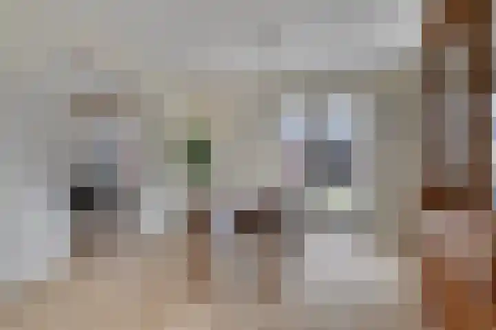 Achterweg 1 Berlicum thumbnail 5
