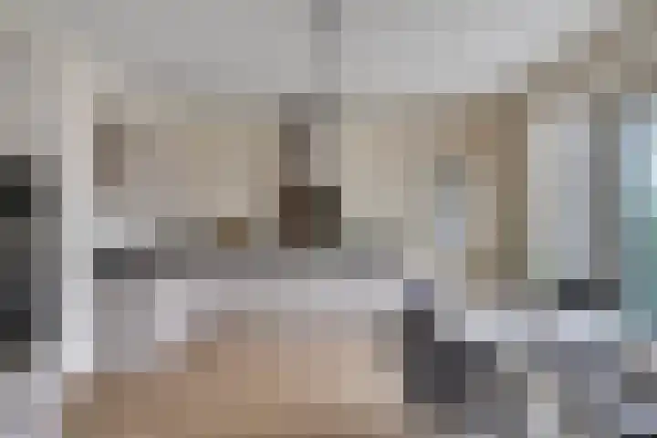 Achterweg 1 Berlicum thumbnail 7