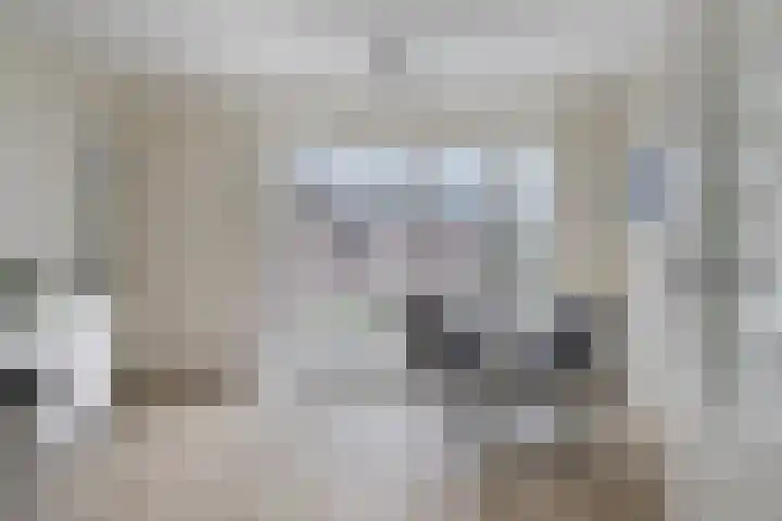 Achterweg 1 Berlicum thumbnail 9