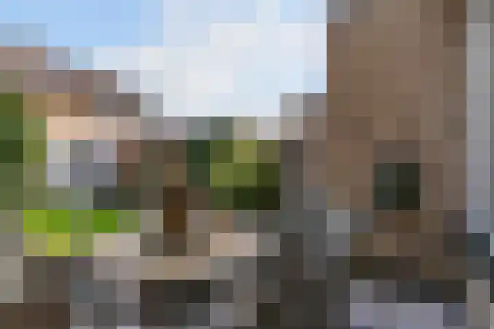 Achterweg 11 Limmen thumbnail 34
