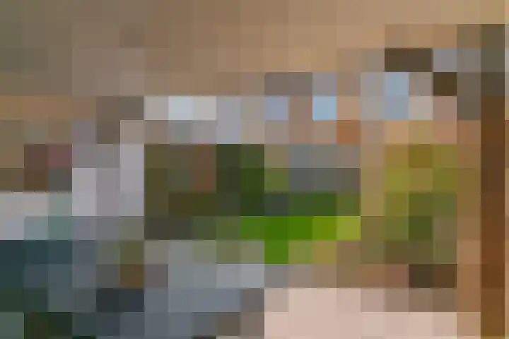 Achterweg 11 Limmen thumbnail 36