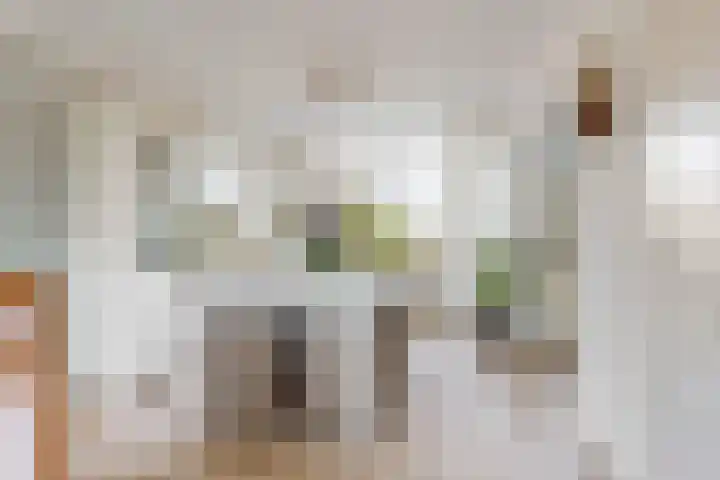 Achterweg 11 Limmen thumbnail 9