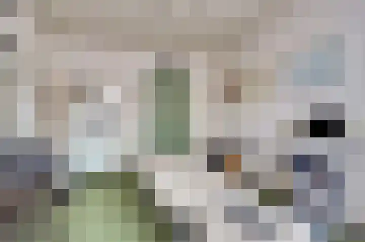 Achterweg 15 Heukelum thumbnail 12
