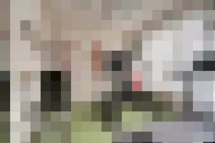 Achterweg 15 Heukelum thumbnail 13