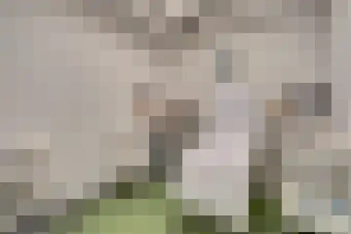 Achterweg 15 Heukelum thumbnail 15