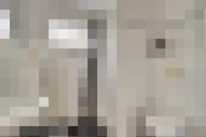 Achterweg 15 Heukelum thumbnail 33